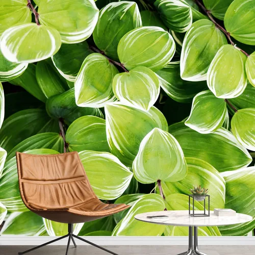 Miniatura 30 de wall26 serie Wall Mural Papel de empapelar autoadhesivo, grande., WMR-WP-X-D986-66x24x4