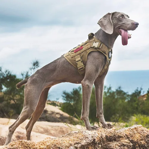 Miniatura 6 de OneTigris Chaleco táctico de entrenamiento para perros, arnés ajustable sin tirones para perros, chaleco de trabajo (marrón coyote, Pequeño)
