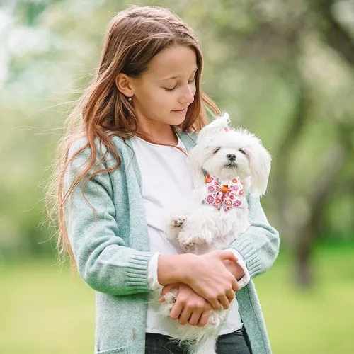 Miniatura 6 de Reginary El juego de 100 piezas de collar de corbatín para perro incluye 40 corbatas para perros y 30 corbatines para cachorros, 30 flores