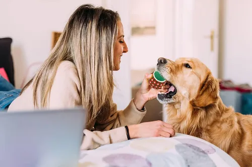 Miniatura 6 de Pelotas de tenis de Navidad para perros, 8 unidades, pelota de tenis chirriante, juguete interactivo para cachorros verdes y rojos, juguetes