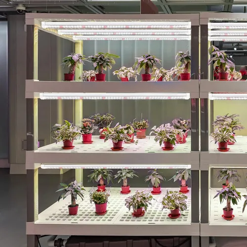 Miniatura 2 de GYTF T5 Luces de crecimiento, 408 bombillas LED blancas de espectro completo de alto PPFD tiras de luz para plantas de interior, invernadero, inicio