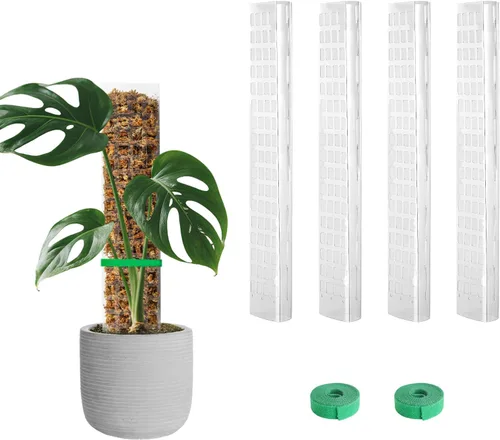 Miniatura 14 de EOX 2 Piezas Postes de Musgo de Plástico de 48 Pulgadas para Monstera, Postes Grandes en Forma de D para Plantas Trepadoras que Funcionan con Musgo