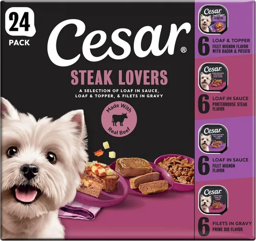 Cesar - Comida húmeda para perros amantes de los filetes, para adultos, comida húmeda para perros con carne real, bandejas de 3.5 onzas fáciles de