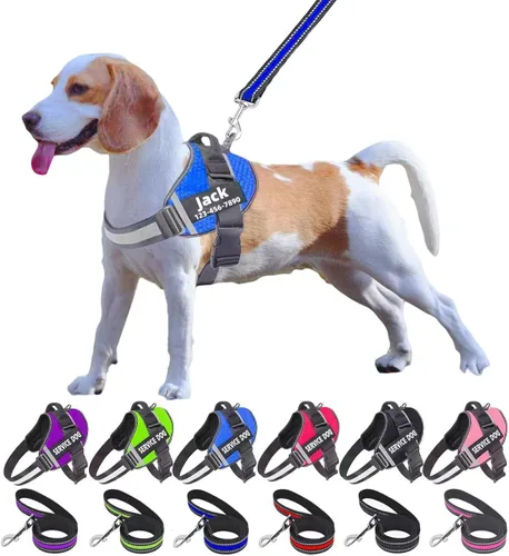 Juego de correa de arnés personalizado sin tirones para perro con nombre y número de teléfono personalizados, chaleco resistente para mascotas para