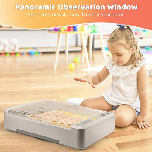 Miniatura 8 de Incubadora de 36 huevos para incubar pollitos con control automático de temperatura y humedad, vista panorámica multifuncional ultra clara con días