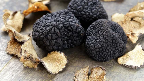 Miniatura 4 de Setas de trufa negra sin OMG para plantar esporas de desove de micelio