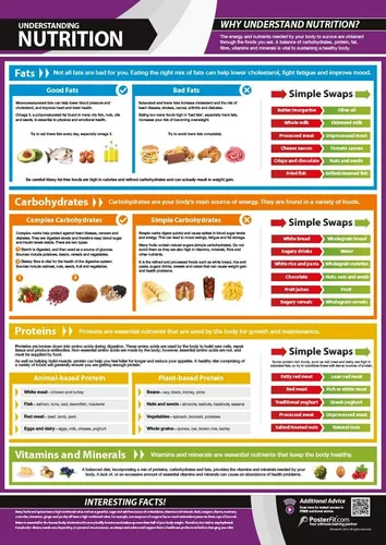 Miniatura 13 de Póster de gimnasio para grupos musculares y ejercicios, laminado, EXTRAGRANDE 33" x 23.5", tabla de pared de gimnasio y fitness en casa, incluye