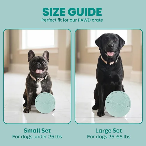 Miniatura 7 de KindTail Comedero portátil para mascotas, cuencos de viaje para perros con tapa y asa, apto para microondas y lavavajillas, cuenco interior de 10