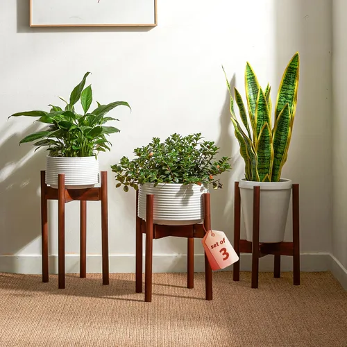 Miniatura 8 de GENTINGBRO Soporte Ajustable para Plantas de Interior, Soporte de Bambú para Plantas que se Ajusta a 8 9 10 11 12 Pulgadas, Pequeño Soporte
