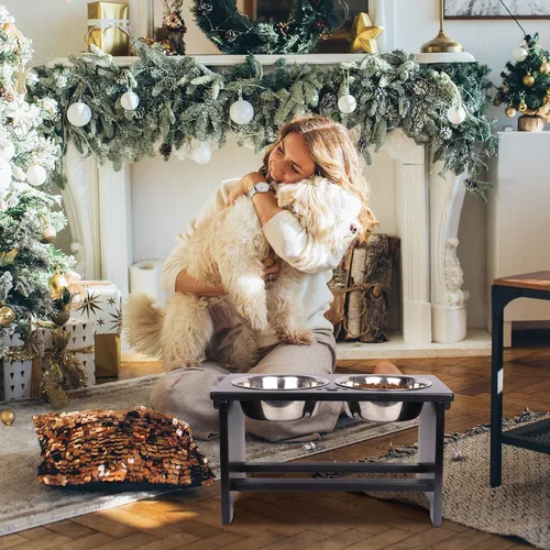 Miniatura 8 de HTB Cuencos elevados para perros, soporte elevado para perros con 2 cuencos de acero inoxidable, cuencos elevados para perros grandes, medianos