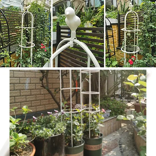 Miniatura 8 de Enrejado de jardín para plantas trepadoras, tubo de metal inoxidable con soporte resistente de 6 pies, soporte para plantas en maceta para jardín