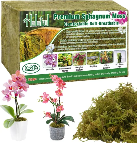 Miniatura 12 de Halatool Musgo de bosque verde de 1.1 libras, musgo esfagnum natural de 25 cuartos para plantas, musgo de orquídea esponjoso para trasplante