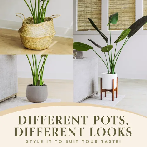 Miniatura 3 de FOREVER LEAF Planta artificial Bird of Paradise de 5 pies, incluye maceta negra, hojas realistas en forma de plátano, plantas de piso grandes