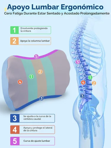Miniatura 3 de Almohada de apoyo lumbar para dormir – Almohada de espuma viscoelástica para la parte inferior de la espalda para la cama para aliviar el dolor