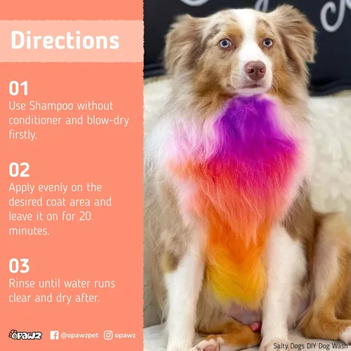 Miniatura 6 de OPAWZ Tinte para pelo de perro semipermanente, tinte para perros con pigmento de grado alimenticio, tinte para mascotas no tóxico para perros, gatos