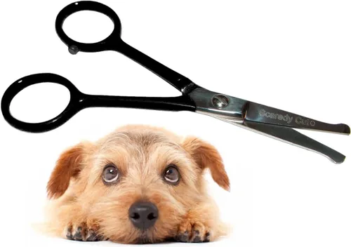 Miniatura 10 de Tijeras pequeñas para aseo de mascotas, con punta de bola y caja. Tijeras 4.5 pulgadas oreja, hocico, cara, pata, Rosado