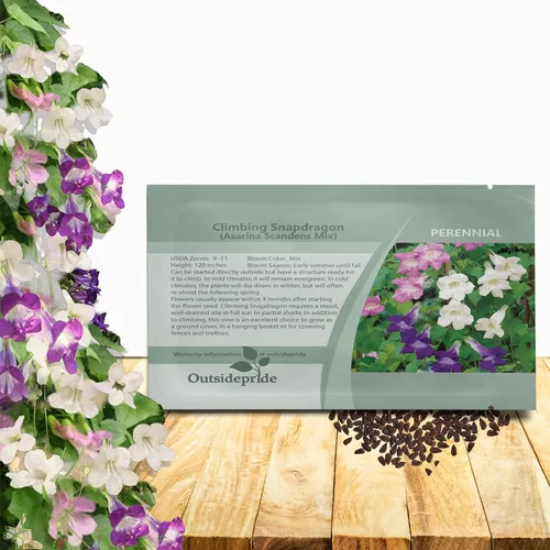 Outsidepride Mix Asarina Climbing Snapdragon Seeds - 100 semillas de flores perennes para plantar, enredaderas trepadoras fáciles de cultivar con