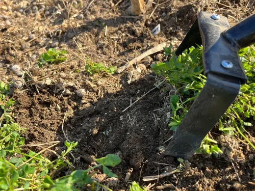 Miniatura 4 de Hula Hoe - Desbrozadora manual de 500 W, herramienta de jardín con estribo oscilante de 16 pulgadas, mango de madera con agarre de goma, cortador