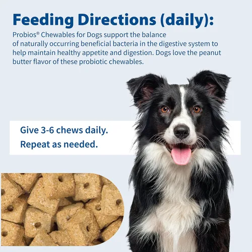 Miniatura 4 de Probios Masticables de apoyo digestivo para perros, suplemento probiótico diario para la salud intestinal, la digestión y el apoyo inmunológico, 1