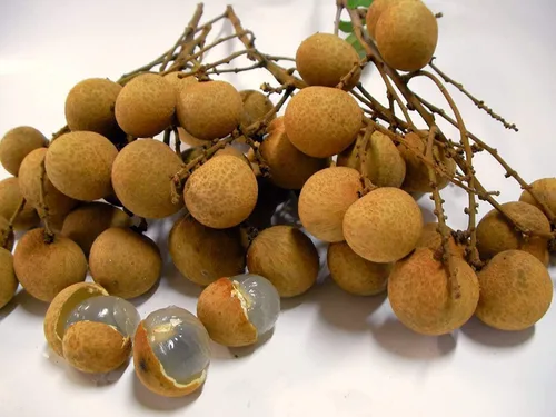 1 bolsa = 10 semillas de longan semillas de fruta sabrosos ojos de dragón raras Bonsai plantas en maceta decoración del jardín sementes semillas de