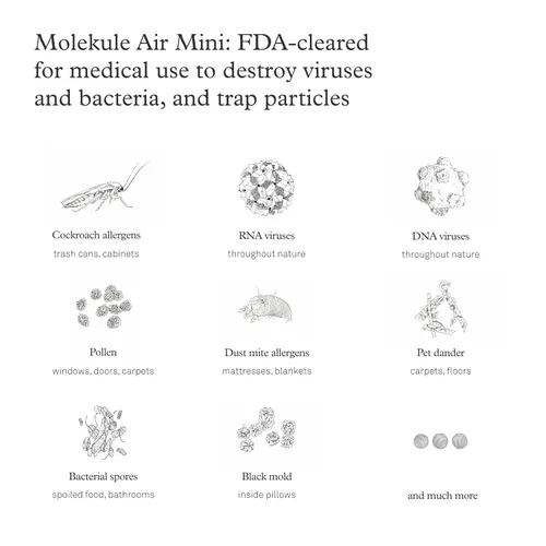 Miniatura 5 de Molekule Air Mini y Air Mini+ Filtro PECO - Filtro Nanocatalítico para Calidad de Aire Saludable - Elimina Alérgenos y Virus a Nivel Molecular