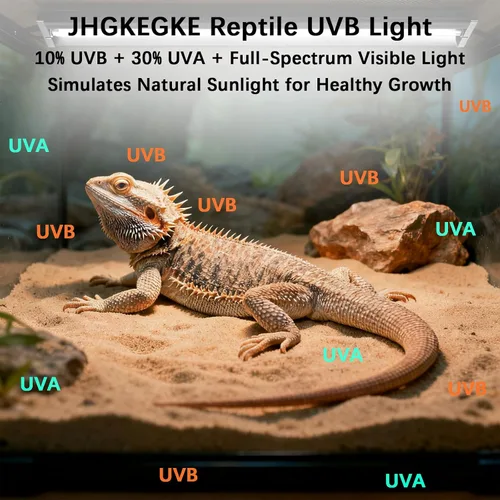 Miniatura 3 de T8 UVB - Kit combinado de iluminación de bombilla HO UVB, luz UVB 10.0 para reptiles, terrario, campana UVA UVB, lámpara de desierto para tanque