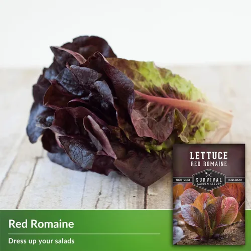 Miniatura 3 de Semilla de lechuga romana roja para plantar, 1 paquete con instrucciones para plantar y cultivar lechuga de hoja roja en tu huerto, variedad