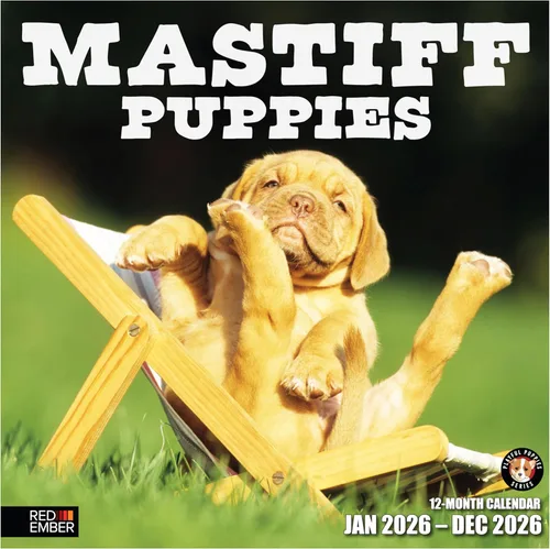 Miniatura 15 de RED EMBER Golden Retriever Puppies - Calendario de pared 2026 de 12 meses 12 x 24 pulgadas abierto Papel grueso y resistente Regalo
