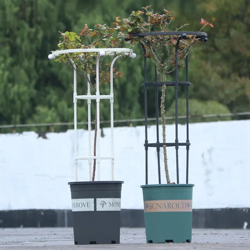 Miniatura 3 de Enrejado de obelisco de jardín para plantas trepadoras, enrejado de exterior e interior para plantas en maceta, paraguas vertical de metal