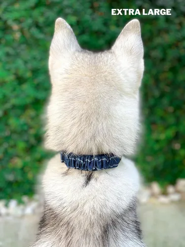 Miniatura 6 de Tuff Pupper Collar de perro resistente con asa Collar de nailon balístico resistente Collar de perro reflectante acolchado con herrajes de acero