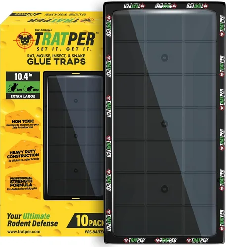 TRATPER Trampas de pegamento para ratones, ratas, serpientes, lagartos, insectos. 10 unidades. Fuerza extra, adhesivo pre-atraído. Bandeja de