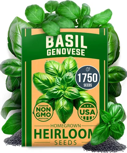 Miniatura 91 de HOME GROWN Mezcla de semillas germinantes de primera calidad, microgreens 118,200 semillas para cultivo en interiores, brócoli, alfalfa, rábano