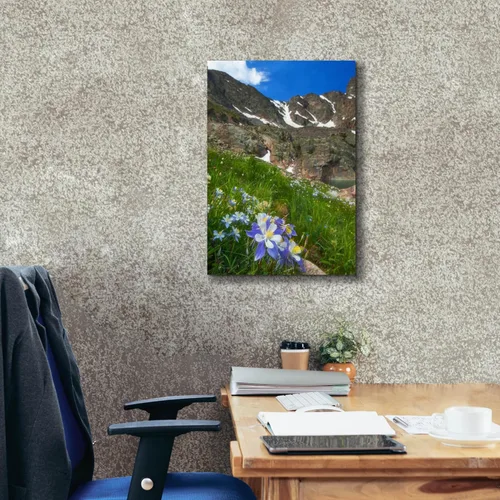 Miniatura 3 de Epic Graffiti 'Alpine Columbine - Parque Nacional de las Montañas Rocosas' por Darren White, arte de pared giclée, 18 x 26 pulgadas