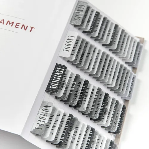 Miniatura 4 de Pestañas para la Biblia laminadas DiverseBee con resúmenes de libros (impresión grande, fácil de leer), pestañas personalizadas para diario bíblico