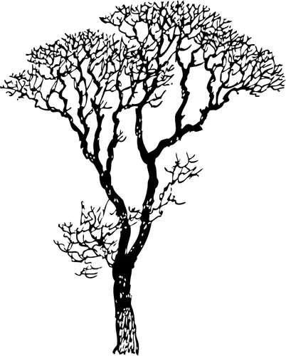 Adhesivo decorativo para pared, diseño de ramas de árbol desnudo, negro, 6 pies de alto (72 pulgadas de alto x 58 pulgadas de ancho). Fácil de
