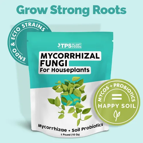 Miniatura 2 de Hongos micorrícicos para plantas de interior - Suplemento de microbail para raíces más fuertes y un crecimiento interior más saludable, 6 onzas