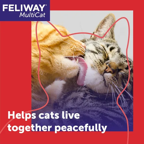 Miniatura 2 de FELIWAY MultiCat - Kit de difusor calmante para gatos y 6 paquetes de recambio, ayuda a reducir la lucha, la tensión y la agresión entre gatos