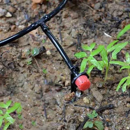Miniatura 5 de Aifeier ET 20 estacas de riego por goteo universales para tubos de goteo de 1/8"-1/4" para riego, invernadero, jardín, cultivo hidropónico