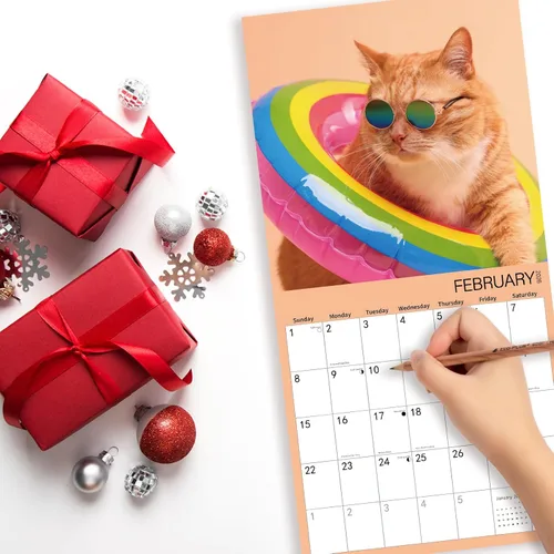 Miniatura 5 de Calendario de pared 2026, calendario 2025-2026, calendario mensual de pared Cool Cat, 12 x 24 pulgadas abierto, calendario planificador familiar