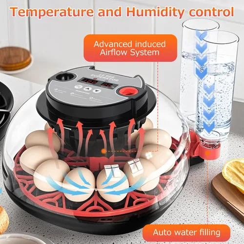 Miniatura 2 de 12 incubadoras de huevos para incubar huevos, incubadora automática de huevos con control de temperatura, control de humedad y pantalla para huevos