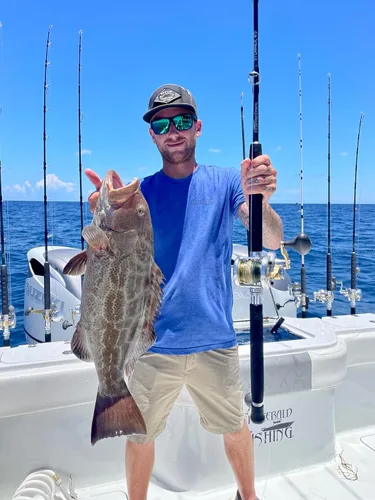 Miniatura 7 de Fitzgerald Stunner HD Saltwater Offshore Spinning Rod Series Pesca Pesca Pesca
