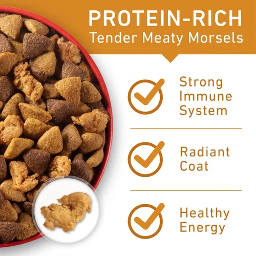 Miniatura 12 de Purina ONE SmartBlend - Alimento seco natural para perros adultos