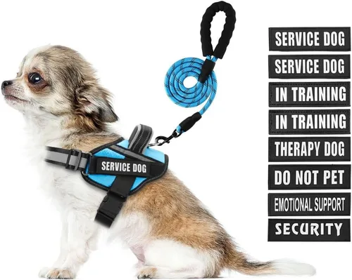 Miniatura 44 de Juego de arnés y correa para perro de servicio, arnés de entrenamiento para perro Animire con 10 parches para perros, correa reflectante para perro