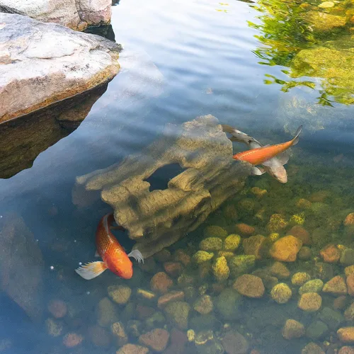Miniatura 7 de Aquascape Cueva de peces de troncos falsos, control de depredadores y refugio decorativo para koi y peces, estanques, acuarios y terrarios, 78324