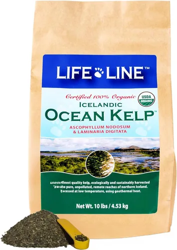 Miniatura 7 de Life Line Algas Marinas Oceánicas Orgánicas Certificadas por USDA para Mascotas y Ganado Apoya la Salud de la Piel y el Pelaje, la Función