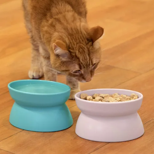 Miniatura 3 de Kitty City Cuencos elevados para gatos (juego de 2), platos elevados para alimentos y agua para gatos, diseño moderno de pedestal, aptos para Pastel