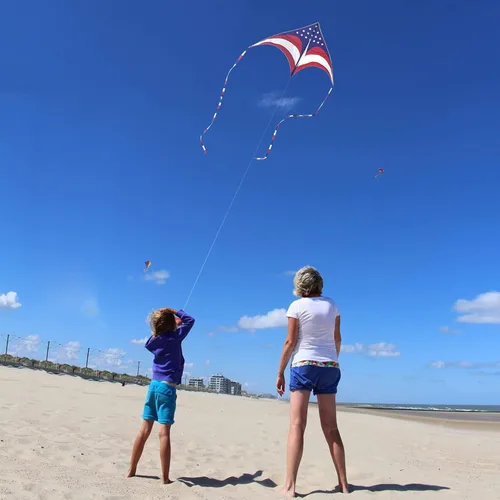 Miniatura 5 de Mint's Colorful Life - Cometa Delta para niños y adultos, cometa extremadamente fácil de volar, las mejores cometas para principiantes