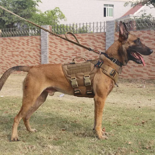 Miniatura 2 de ICEFANG - Arnés táctico para perro con 6 hebillas, chaleco con sistema molle con asa para perro, 3/4 del cuerpo, panel con velcro para parche