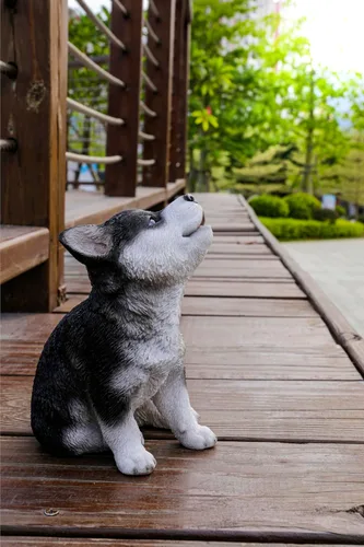 Miniatura 7 de Husky Siberiano Cachorro Aullando