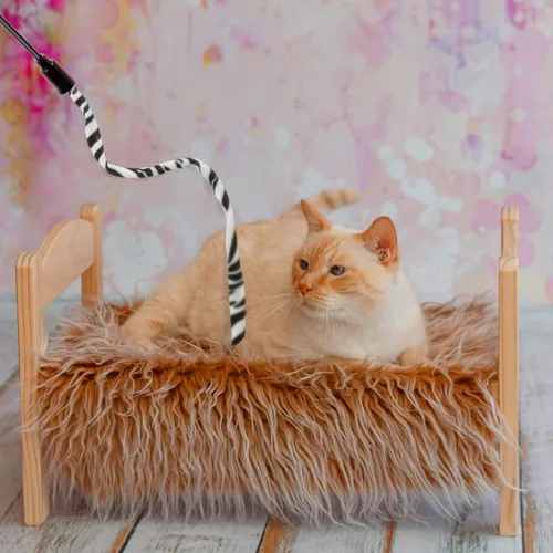 Miniatura 6 de Sumind 3 piezas de varita de gato de la selva para gato, teaser encantador, juguetes interactivos divertidos varita gatito juguete, 3 estilos